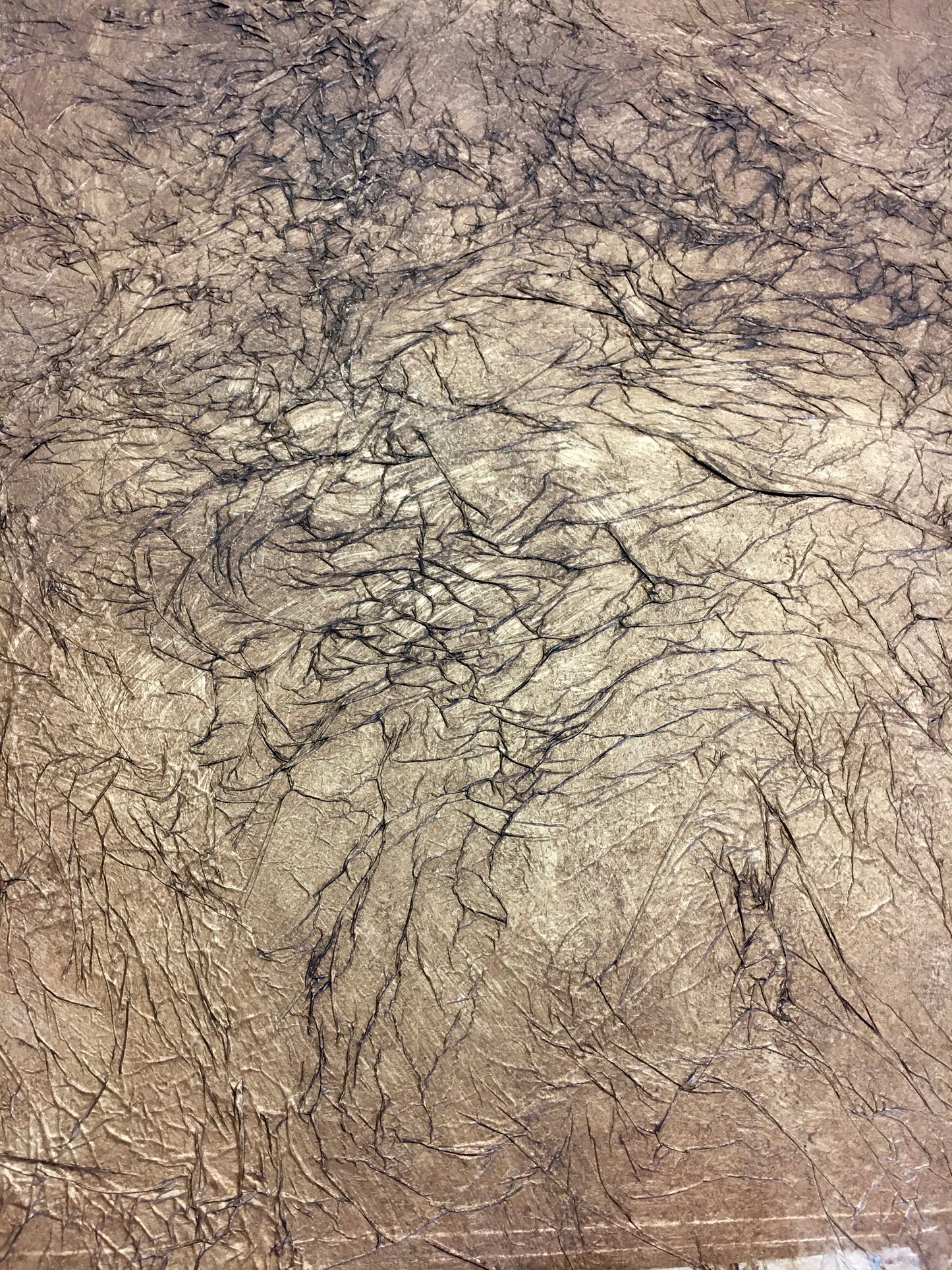 Elephant Hide